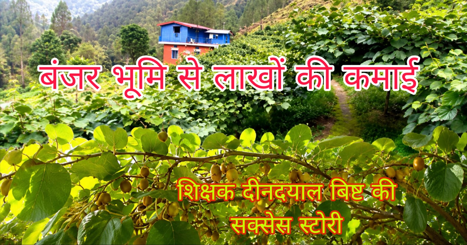 पहाड़ में स्वरोजगार की नई मिसाल: सरकारी योजनाओं से चमकी शिक्षक की बागवानी