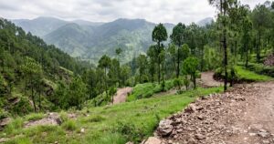 उत्तराखंड : पहाड़ की जमीन पर बाहरी भूमाफिया का खेल! पौड़ी में अवैध टाउनशिप निर्माण ठप, डीएम ने दिए भूमि सौदा निरस्त करने और कड़ी कार्रवाई के आदेश