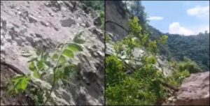 चमोली खबर : कर्णप्रयाग-नैनीसैण मोटर मार्ग भारी मलबे से बंद, पीपलसेरा के पास पहाड़ी टूटी, 30 से अधिक गांवों का संपर्क कटा